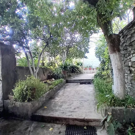 House Cela 3*