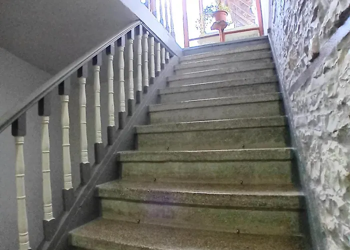 호텔 House Cela 3*